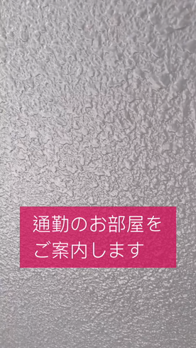 ピーターラインのお仕事解説動画