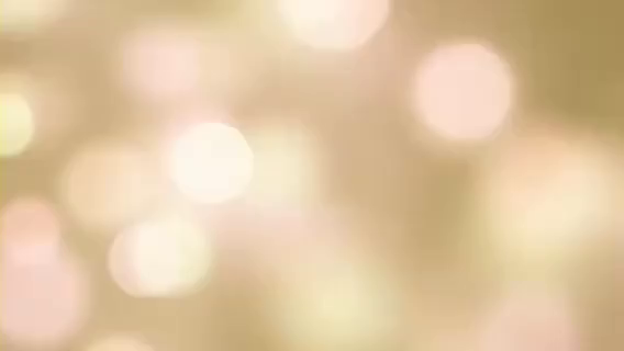 ぽっちゃり コレクションの求人動画
