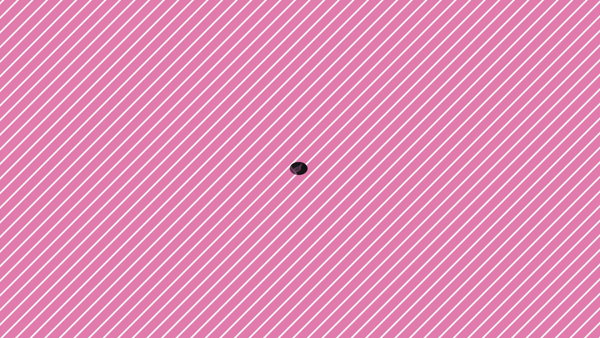 ミスキャンパスに在籍する女の子のお仕事紹介動画