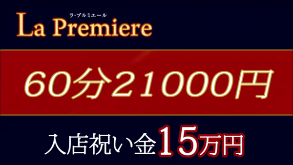 プルミエールグループのお仕事解説動画