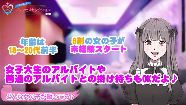 プリンセスセレクション姫路のお仕事解説動画
