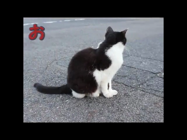 Love Charm 小牧・一宮店の求人動画