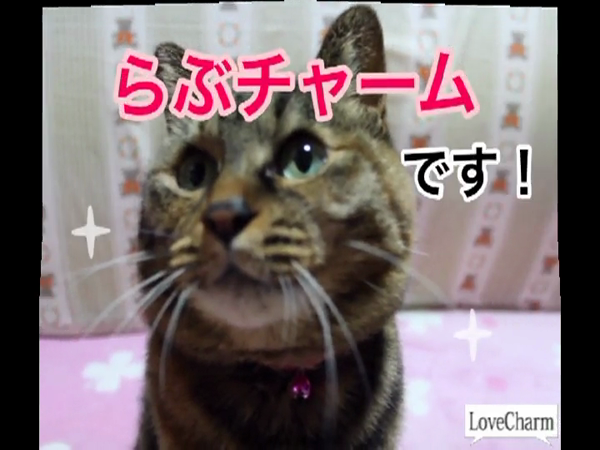 Love Charm 小牧・一宮店のお仕事解説動画