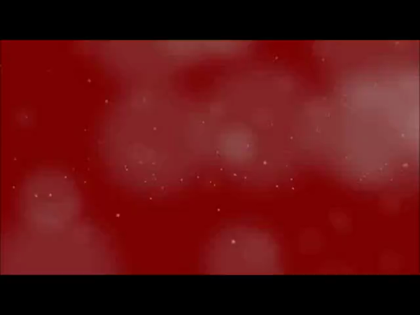レッドルームの求人動画