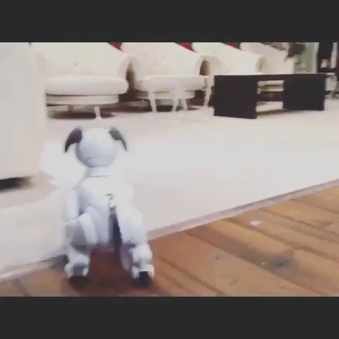ロイヤルVIP倶楽部の求人動画