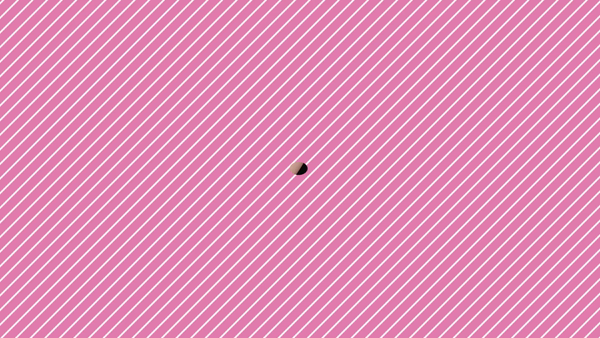 SAZANKA～華貴族に在籍する女の子のお仕事紹介動画