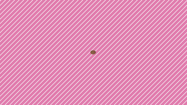 アヴァンティに在籍する女の子のお仕事紹介動画