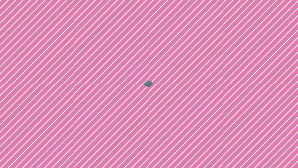 宮城仙南ちゃんこに在籍する女の子のお仕事紹介動画