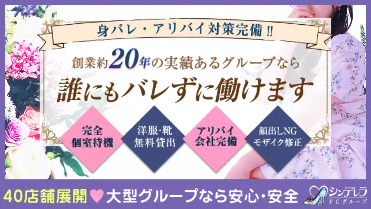 シンデレラグループのお仕事解説動画