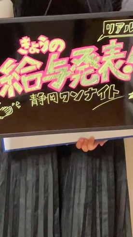 静岡ワンナイトのお仕事解説動画