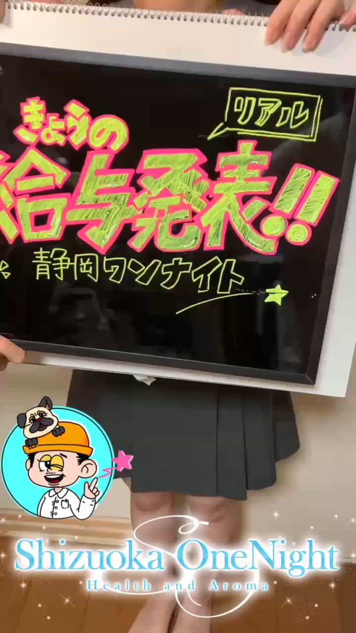 静岡ワンナイトのお仕事解説動画