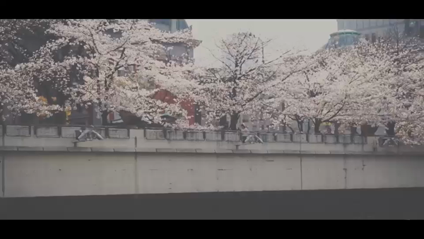 プロフィール京都の求人動画