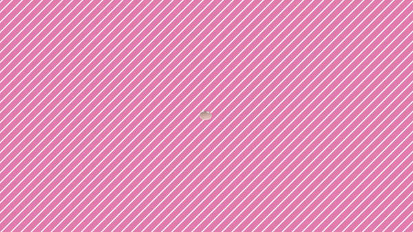 シルクロードに在籍する女の子のお仕事紹介動画