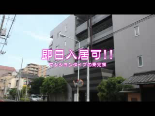 白いぽっちゃりさん 五反田店の求人動画