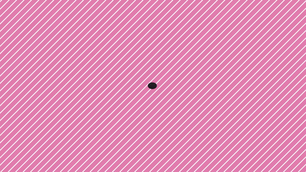 山口下関ちゃんこに在籍する女の子のお仕事紹介動画