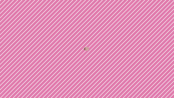 SunFlower～サンフラワー～に在籍する女の子のお仕事紹介動画