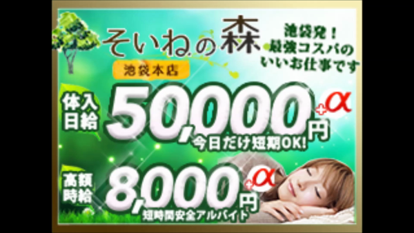 そいねの森 池袋本店の求人動画