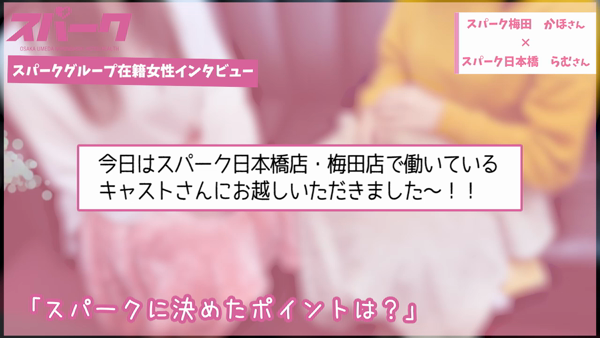 スパークグループのお仕事解説動画