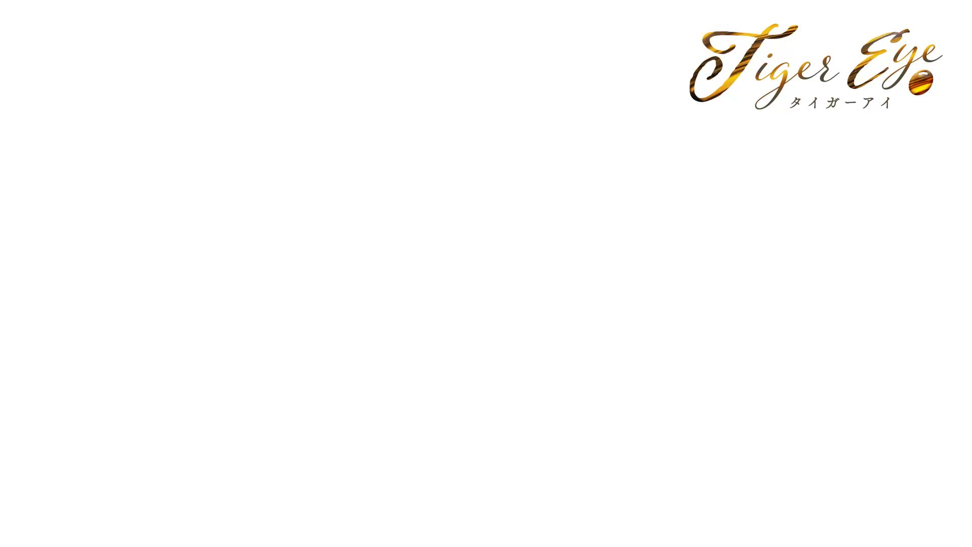 Tiger Eye～タイガーアイのお仕事解説動画