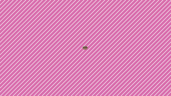 THE ESUTE HOUSE 柴田に在籍する女の子のお仕事紹介動画
