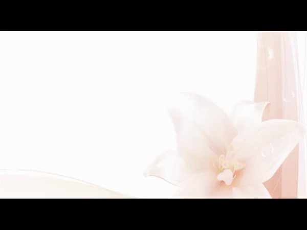 天使のゆびさき(カサブランカグループ)の求人動画