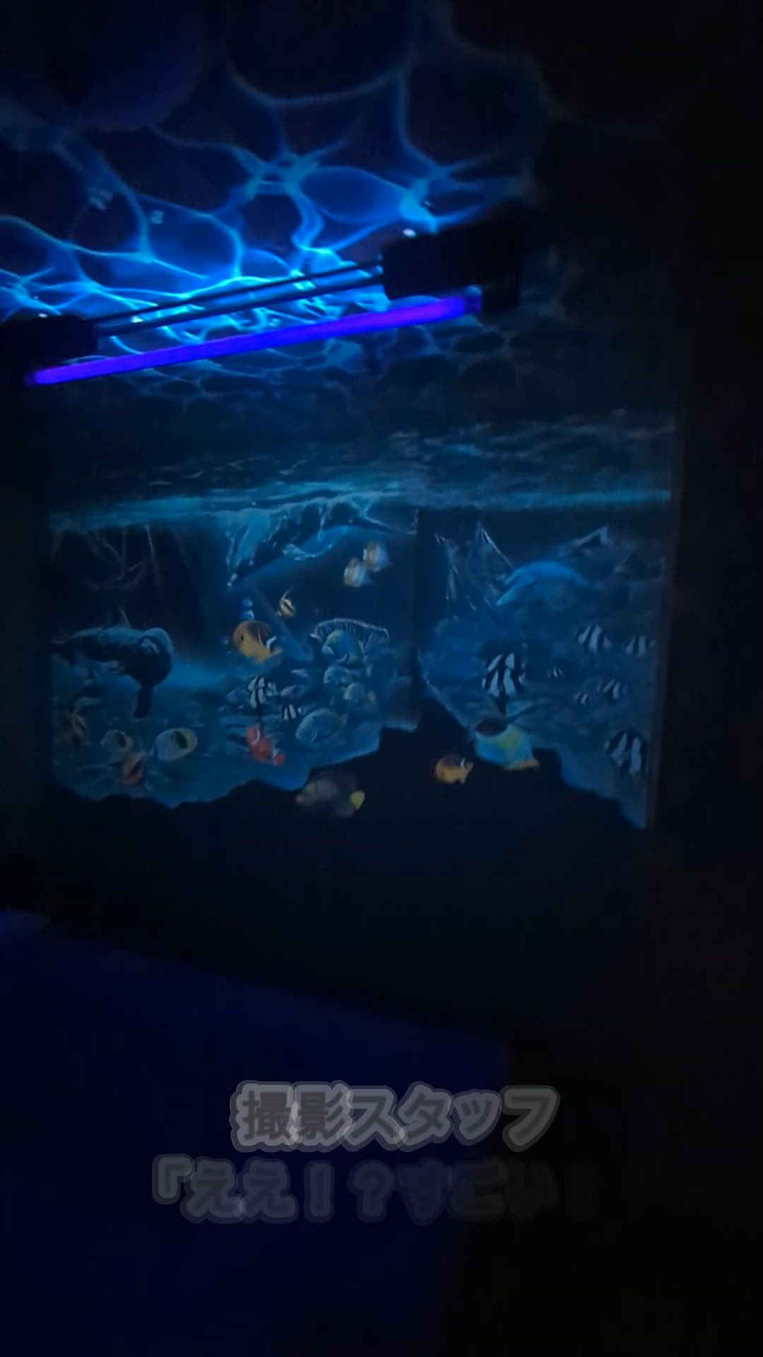 としまPart2 VIP錦店のお仕事解説動画