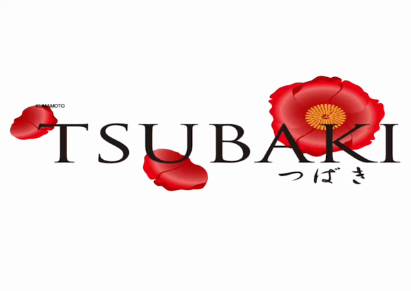 イエスグループ熊本 TSUBAKIのお仕事解説動画