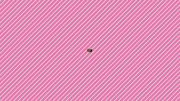 TSUBAKIに在籍する女の子のお仕事紹介動画