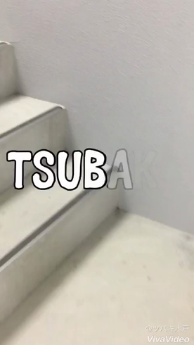 TSUBAKI-ツバキ- YESグループの求人動画