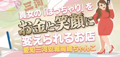 愛知三河安城岡崎ちゃんこのお仕事解説動画