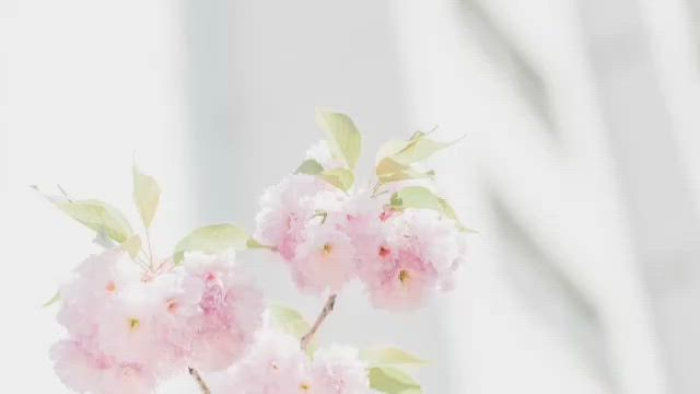 打上花火 兵庫店のお仕事解説動画