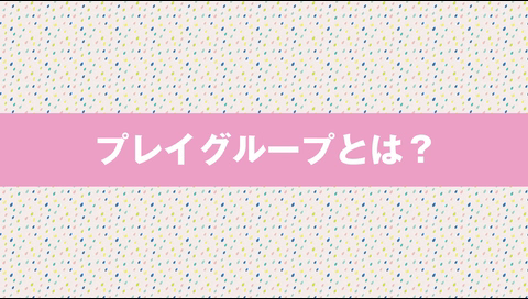 プレイガール(プレイグループ)の求人動画