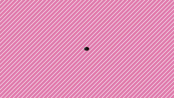 わっしょい☆元祖廃男コース鹿児島店に在籍する女の子のお仕事紹介動画