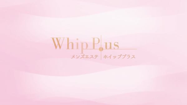 Whip Plusのお仕事解説動画