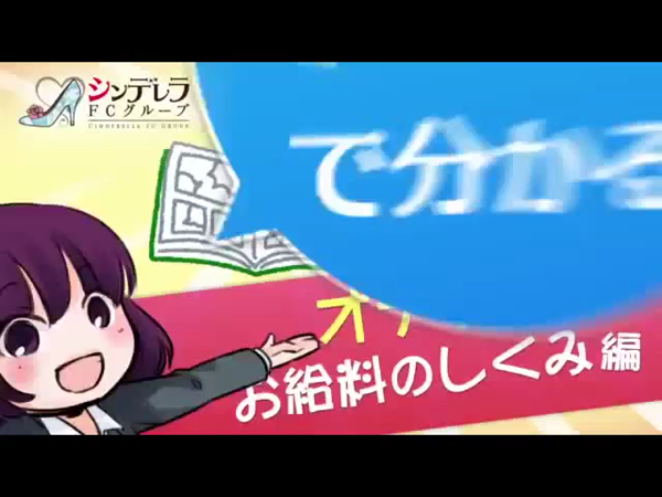 シンデレラグループのお仕事解説動画